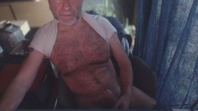 ptibear1 webcam model stream image