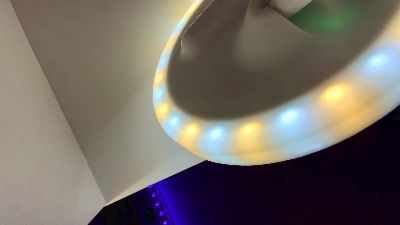 GenesisRhine webcam model stream image