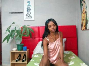 Brightness webcam model stream image