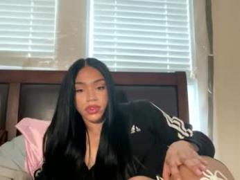 dynasty313 webcam chaturbate model stream image