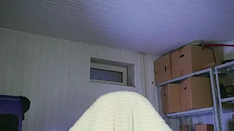 dustyn_fox webcam stripchat model stream image