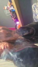 MaMiCHuLa87 webcam model stream image