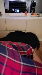 Paola_1985 webcam cam4 model stream image