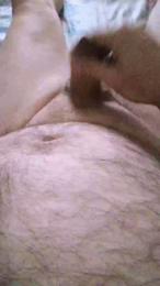 flader webcam model stream image