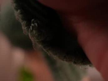 adritvance webcam model stream image