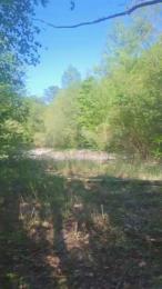 Ampallang6 webcam cam4 model stream image