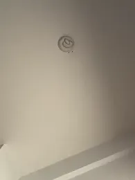 Andrestarr webcam model stream image