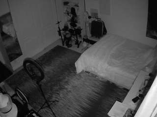 voyeurcam-hornyhostel-02 webcam model stream image