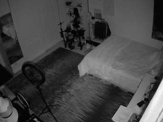 voyeurcam-hornyhostel-02 webcam model stream image