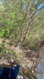 Adrien38220 webcam model stream image