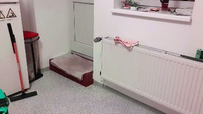 newbi93 webcam model stream image