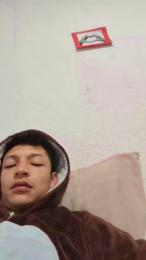 Tupapalarga webcam model stream image