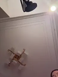 _WETSAND_ webcam model stream image