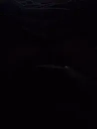 annyaparis webcam model stream image