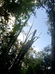 Cloudin_around webcam model stream image