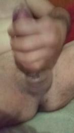 TONI_XL webcam model stream image