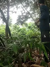 ThethunderPo webcam stripchat model stream image