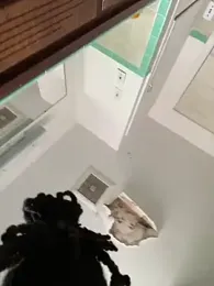 Mr11inchesnluvv webcam model stream image