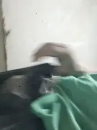 oktlicogedor webcam model stream image