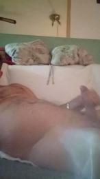 gspinoyeyahooe1 webcam model stream image