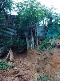 tayson_ webcam model stream image