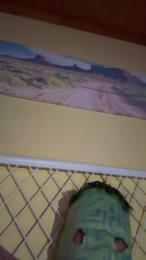 hottyboy1o webcam model stream image