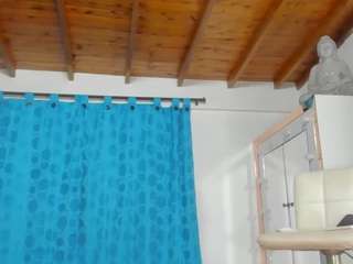 emilhornett webcam model stream image