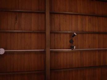 IzzyWild webcam bongacams model stream image