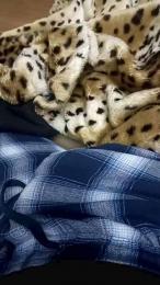 Cuoresexmmm webcam model stream image