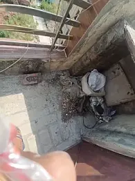 Aadi_ki_Manju webcam stripchat model stream image