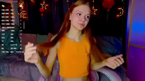 WeiSusi webcam model stream image