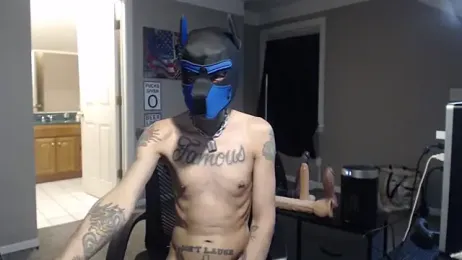 Michigan9000 webcam model stream image