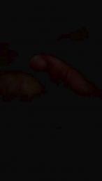 Arturo666666 webcam cam4 model stream image