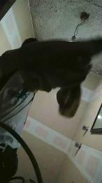 ElDemonJb webcam model stream image