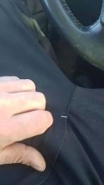 Piseloduro webcam model stream image