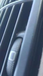 Piseloduro webcam model stream image