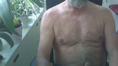 pitfly1 webcam cam4 model stream image