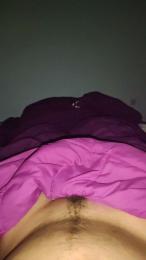 Pollatroni webcam model stream image