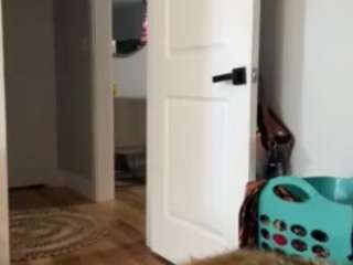 laylared webcam model stream image