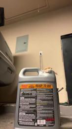 TopTierDrippa webcam model stream image