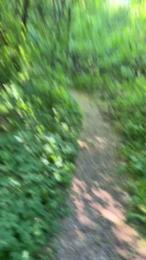 Justfunfranko webcam cam4 model stream image