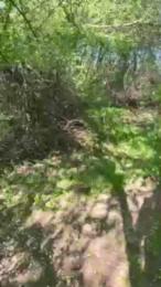 Justfunfranko webcam cam4 model stream image