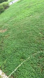 boss697 webcam model stream image