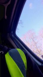 Bigdick95daddy webcam cam4 model stream image