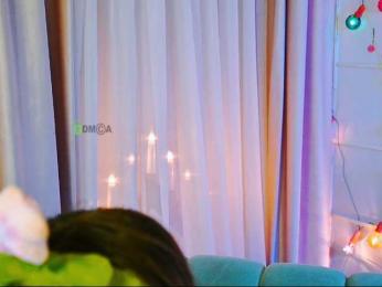 -ANN webcam model stream image