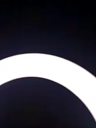 SlBrownCopule webcam model stream image