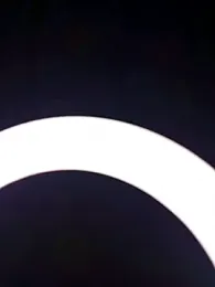 SlBrownCopule webcam model stream image