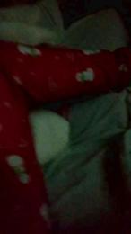 Reichel1996 webcam model stream image