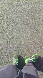 ALEXRED86 webcam cam4 model stream image