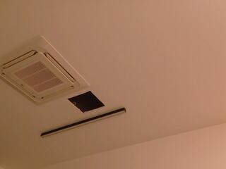 Indy Harrison webcam model stream image